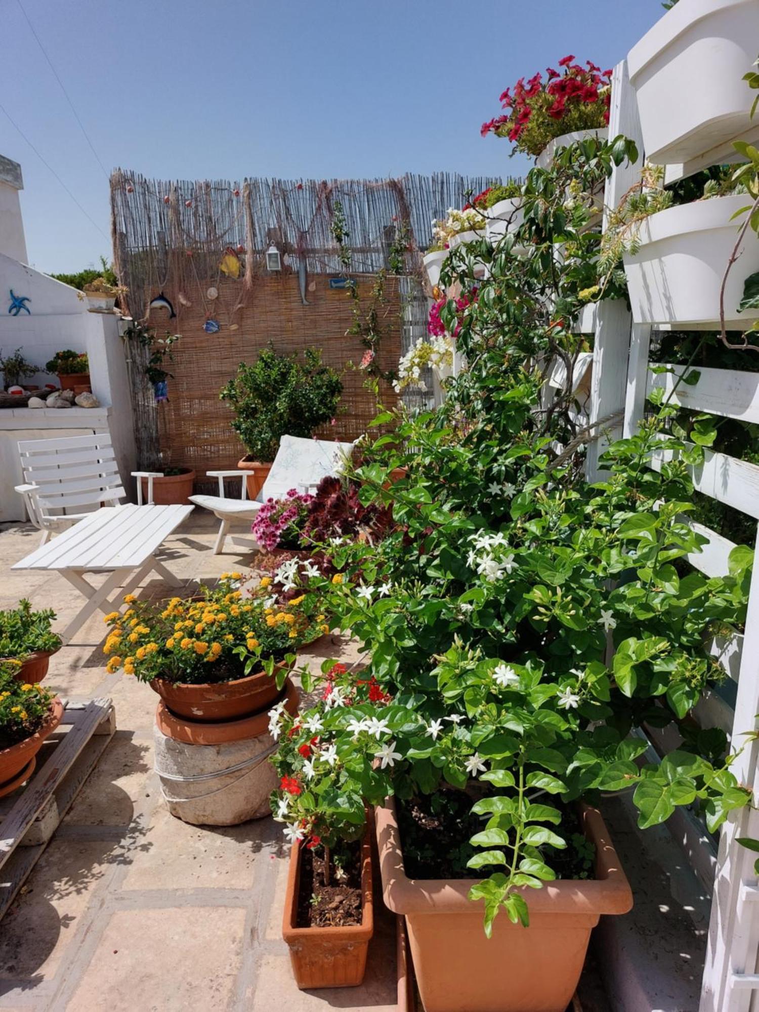 MandorleOlio Bed & Breakfast Polignano a Mare Bagian luar foto